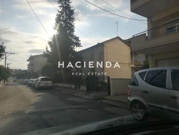 תמונת קתריני, סלוניקי למכירה