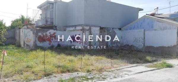 תמונת פטרס למכירה (0)