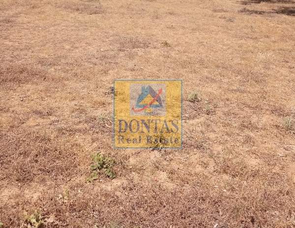 תמונת מרוסי, אתונה למכירה (0)