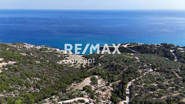 תמונת זקינתוס למכירה (0)