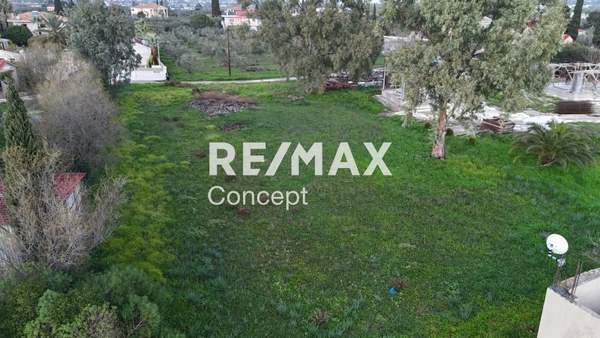 תמונת זקינתוס למכירה (0)