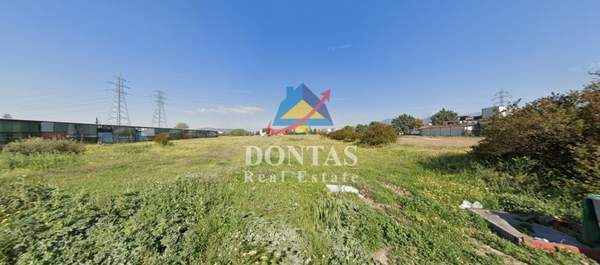 תמונת אכרניס, אתונה למכירה (1)