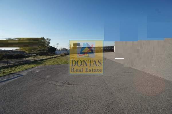 תמונת מטמורפוסי, אתונה למכירה (0)