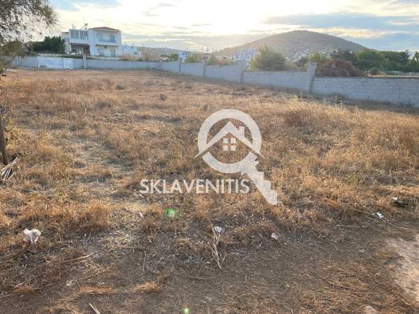 תמונת ספטה ארטמידה למכירה (0)