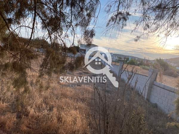 תמונת ספטה ארטמידה למכירה (1)