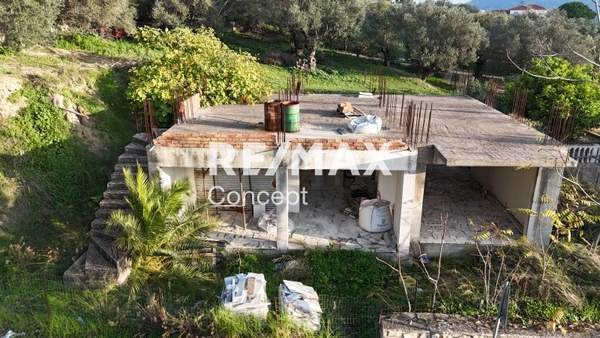 תמונת זקינתוס למכירה (0)