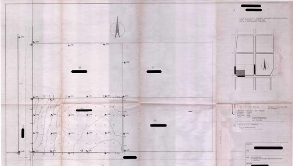 תמונת פאנטלי, אתונה למכירה (1)