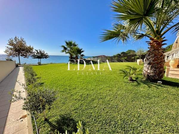 תמונת קסנדרה למכירה