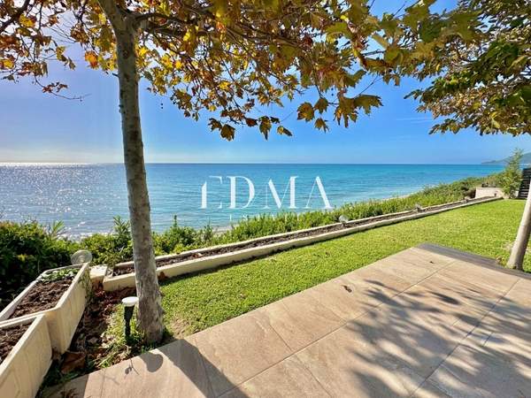 תמונת קסנדרה למכירה