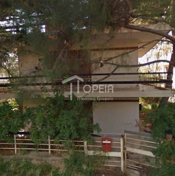 תמונת סרוניקוס, אתונה למכירה