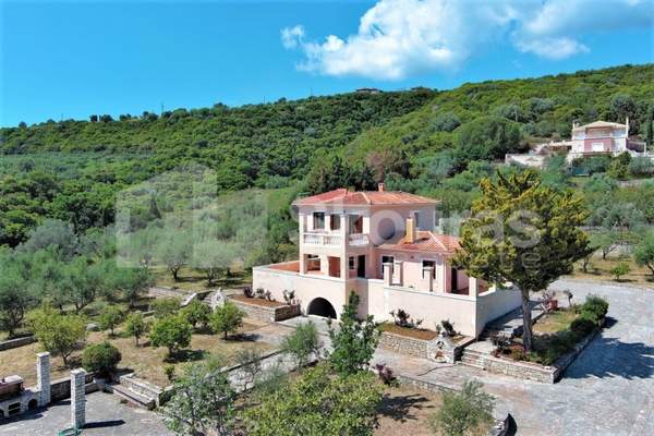 תמונת מסיני למכירה (0)