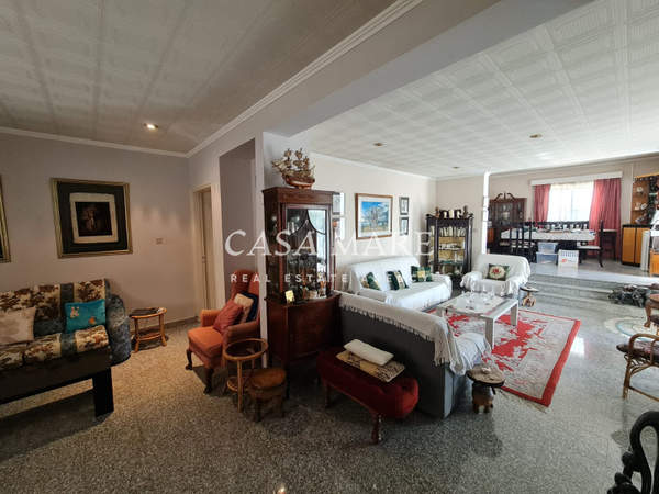 תמונת לקאטמיה למכירה (1)