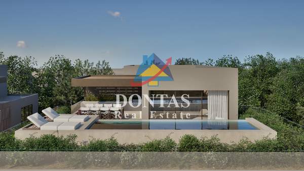 תמונת קיפיסיה, אתונה למכירה (1)