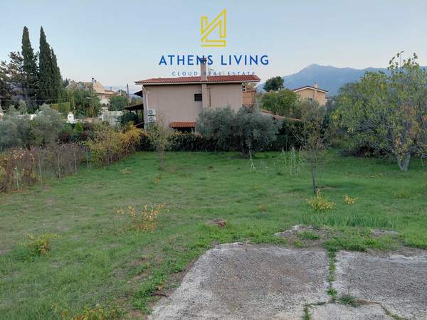 תמונת דיוניסוס, אתונה למכירה