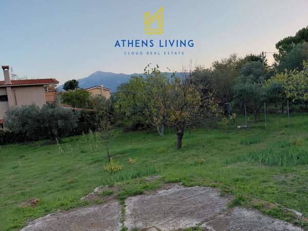 תמונת דיוניסוס, אתונה למכירה