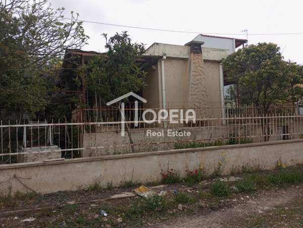 תמונת סרוניקוס, אתונה למכירה (0)