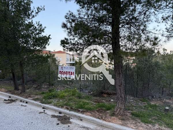 תמונת ראפינה - פיקרמי, אתונה למכירה (1)