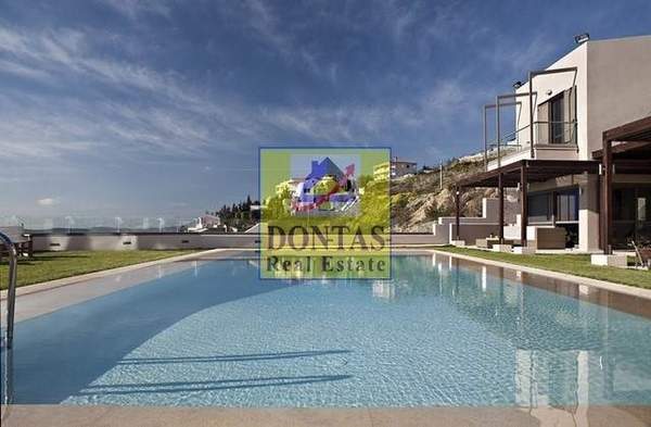 תמונת ראפינה - פיקרמי למכירה (1)