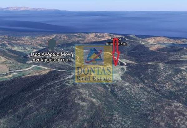 תמונת קימי-אליברי  למכירה