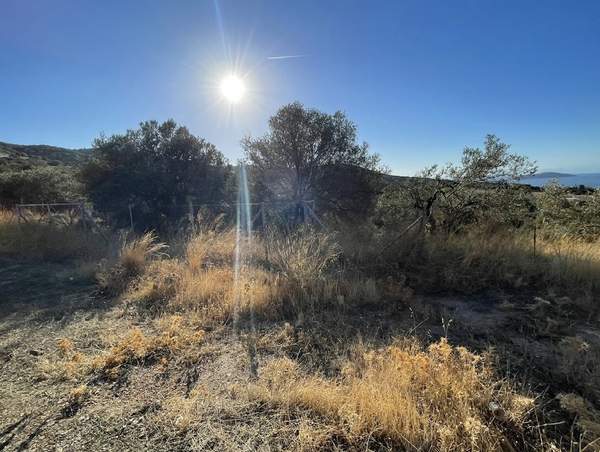 תמונת קוס, הדודקאנסיים למכירה (0)