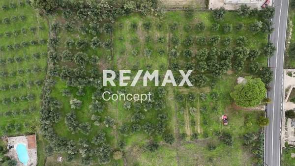 תמונת רשות מקומית זקינתוס למכירה (1)