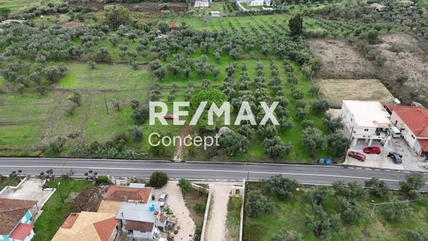 תמונת רשות מקומית זקינתוס למכירה (0)