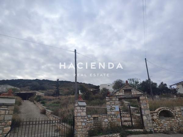 תמונת פארוס למכירה (0)