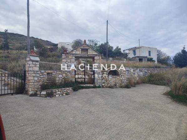 תמונת פארוס למכירה (1)