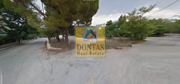 תמונת דיוניסוס למכירה (0)