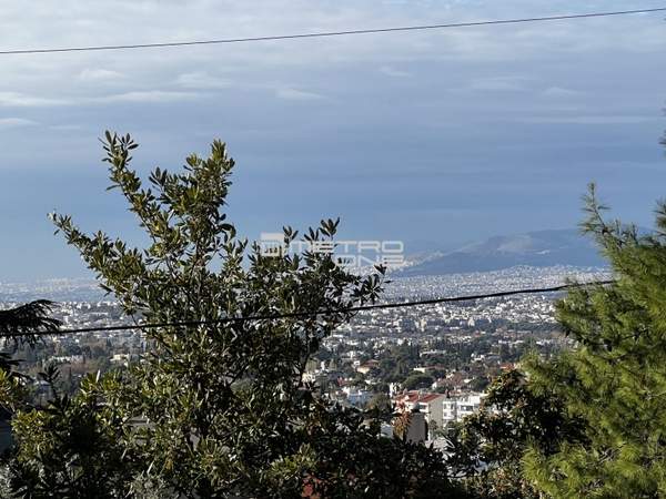 תמונת קיפיסיה, אתונה למכירה (1)