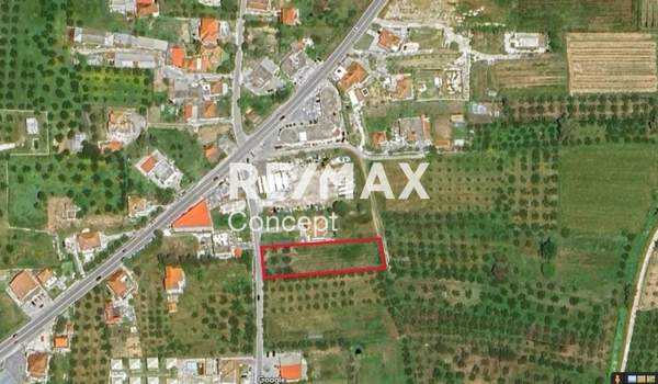 תמונת זקינתוס למכירה (1)