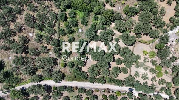 תמונת רשות מקומית זקינתוס למכירה (1)