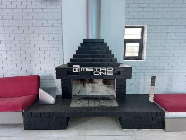 תמונת דיוניסוס למכירה (1)