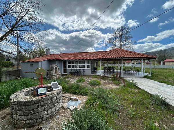 תמונת טריפולי, פלופונס למכירה (1)