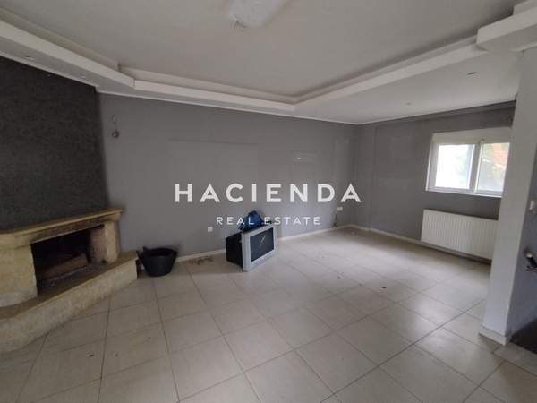 תמונת פיאניה למכירה (0)