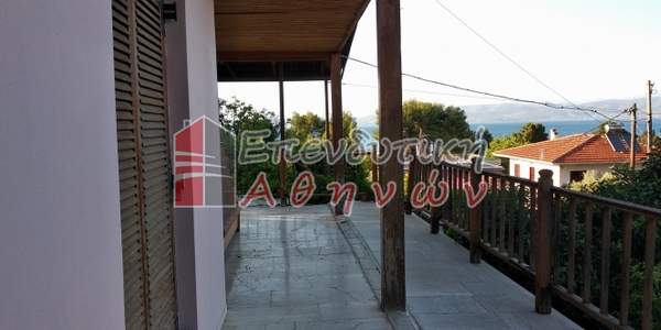 תמונת טנאגרה למכירה (0)