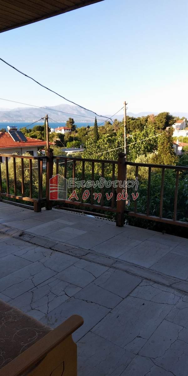 תמונת טנאגרה למכירה (1)