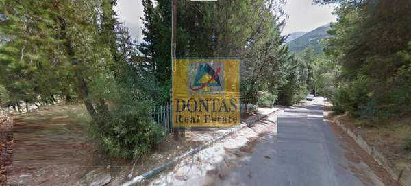 תמונת דיוניסוס למכירה (0)