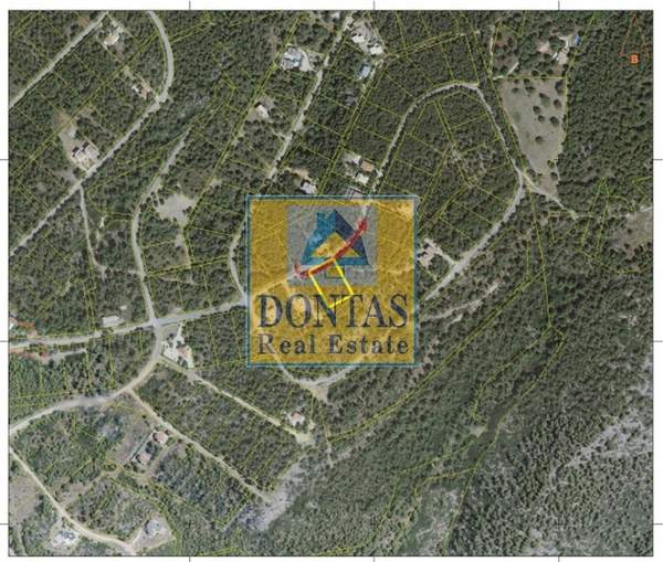 תמונת אורופוס, אתונה למכירה (1)