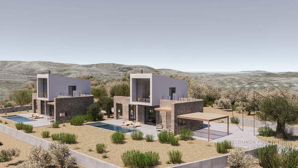 תמונת פסטוס למכירה (1)