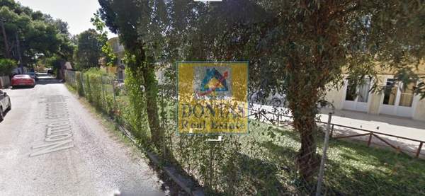 תמונת דיוניסוס למכירה (0)