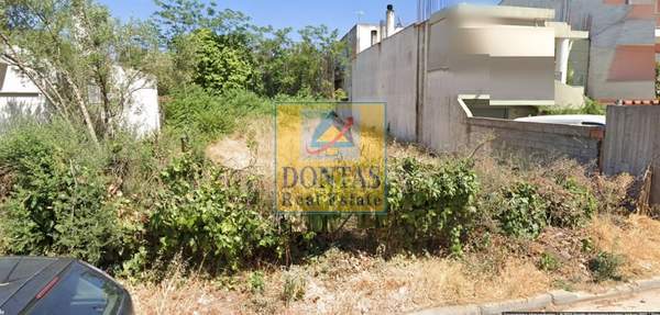 תמונת נאה אריטאריה, קיפיסיה, אתונה למכירה (1)