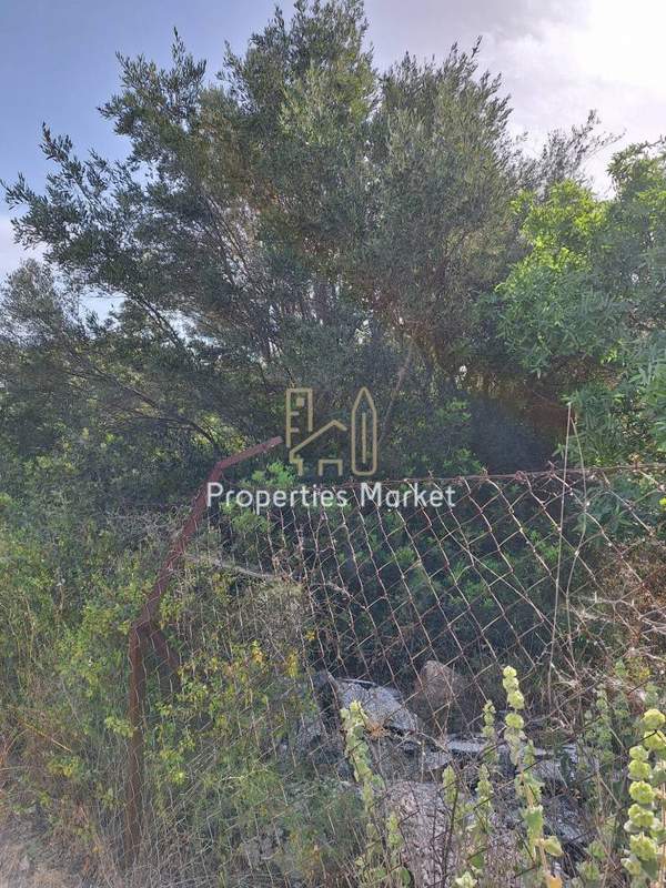 תמונת סרוניקוס, אתונה למכירה (1)