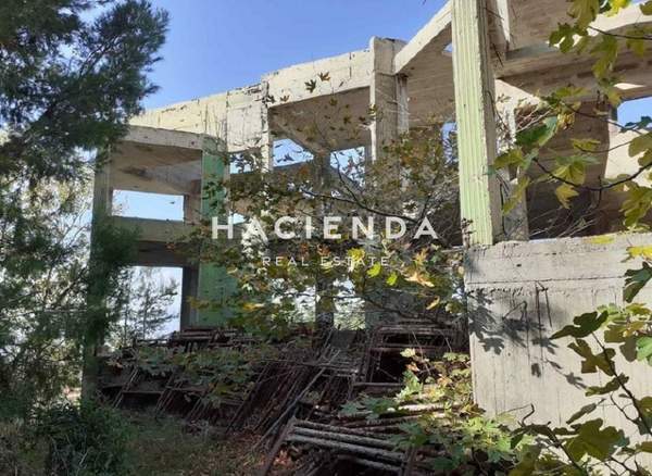 תמונת דיוניסוס, אתונה למכירה (0)