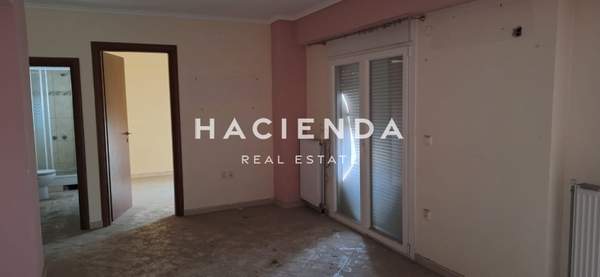 תמונת קורדליו - אבוסמוס למכירה (0)