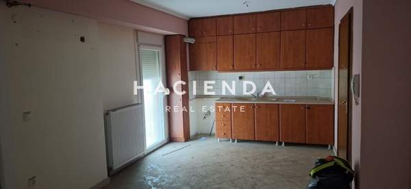 תמונת קורדליו - אבוסמוס למכירה (1)