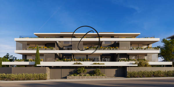 תמונת קיפיסיה, אתונה למכירה (1)