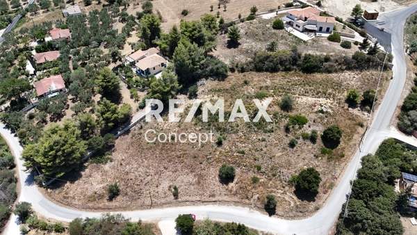 תמונת זקינתוס למכירה (1)