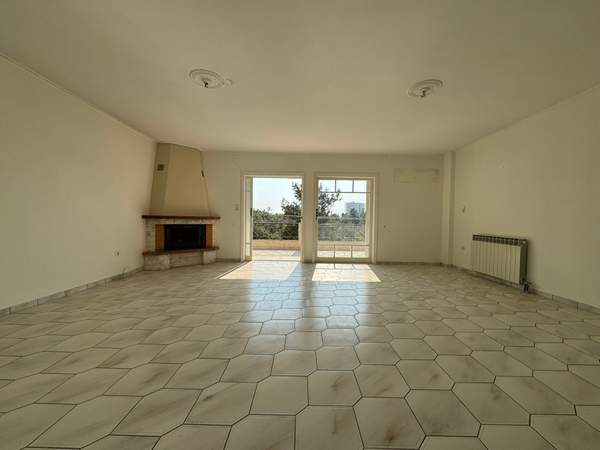 תמונת צ'ולארגוס למכירה (1)