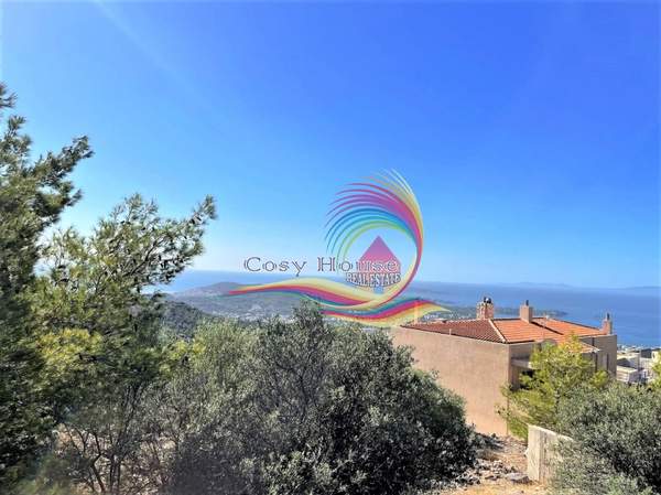 תמונת וולה, וארי - וולה -ווליאגמני למכירה (1)